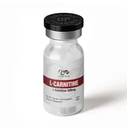 L-Carnitine 500